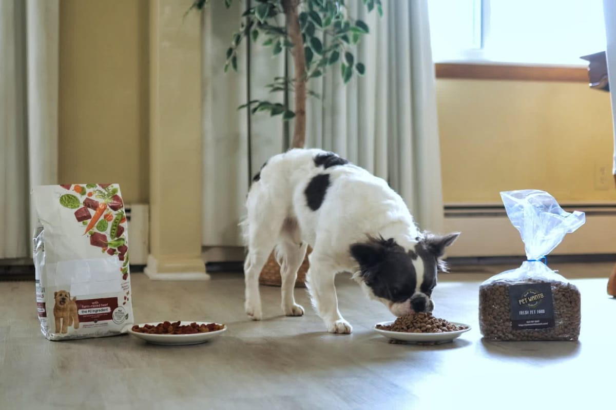 A dog eating from a bowl beside a bag of Pet Wants food